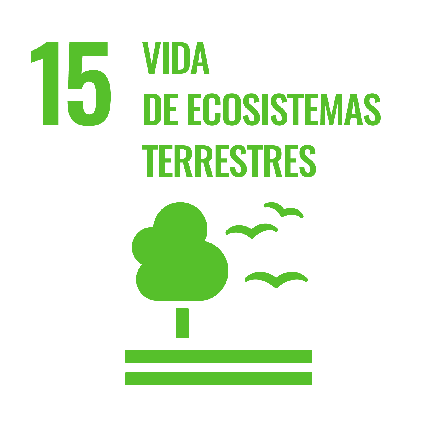 ODS 15. Vida de ecosistemas terrestres